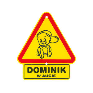 TS-031-DOMINIK
