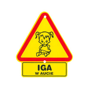 TS-043-IGA