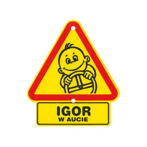 TS-045-IGOR