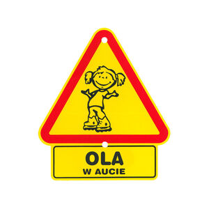 TS-091-OLA