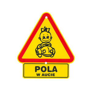 TS-100-POLA