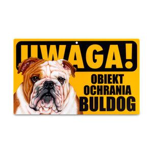 TZZ-009-BULDOG ANGIELSKI