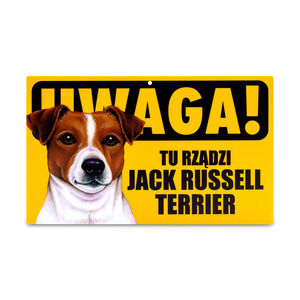TZZ-019-JACK RUSSELL TERIER