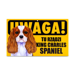 TZZ-022-KING CHARLES SPANIEL