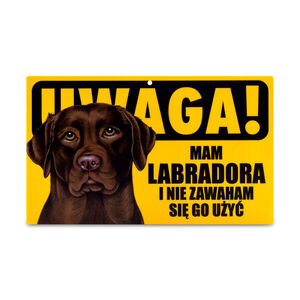 TZZ-024-LABRADOR BRĄZOWY