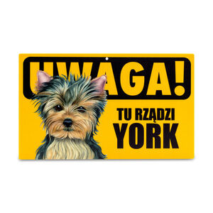 TZZ-040B-YORK (TU RZĄDZI...)