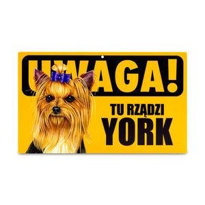 TZZ-041-YORK KOKARDA