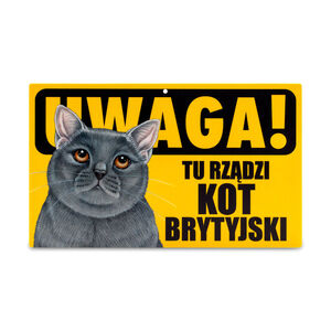 TZZ-042-KOT BRYTYJSKI