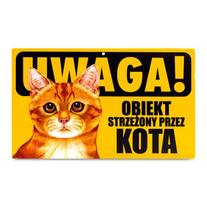 TZZ-045-KOT RUDY