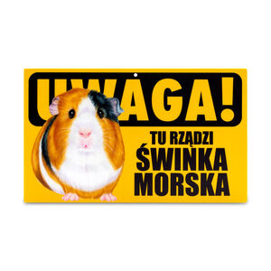 TZZ-057-ŚWINKA MORSKA